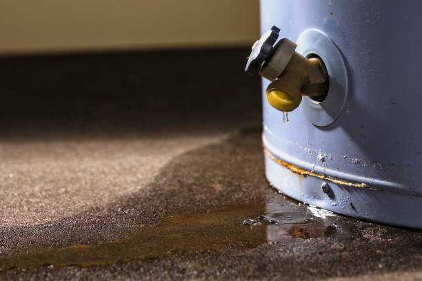 Best Professional water damage repair  in Holiday Valley, OH