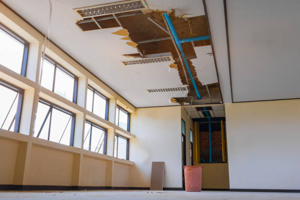 Best Flood damage cleanup  in Holiday Valley, OH