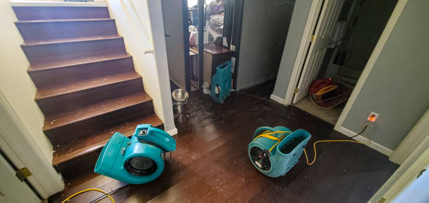 Professional Water damage restoration in Holiday Valley, OH