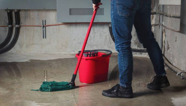 Best Residential water damage restoration  in Holiday Valley, OH
