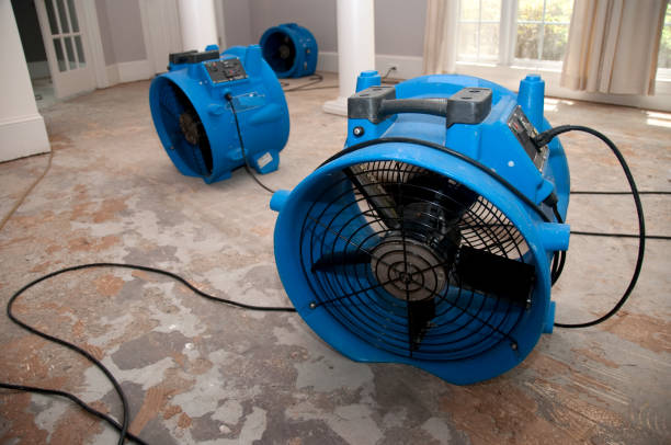 Best Fire Damage Restoration  in Holiday Valley, OH