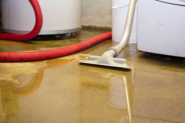 Best Water damage restoration insurance claims  in Holiday Valley, OH