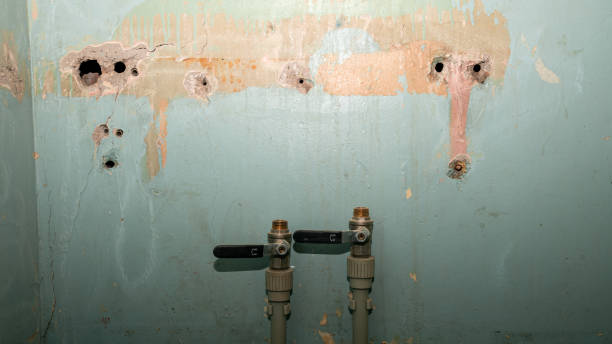 Best Water damage cleanup near me  in Holiday Valley, OH