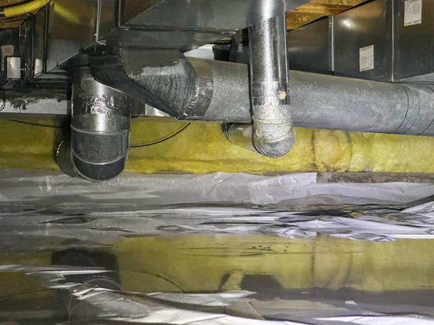 Best Water damage restoration near me  in Holiday Valley, OH