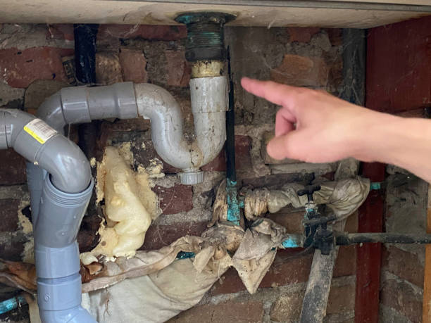 Best Water damage restoration services  in Holiday Valley, OH
